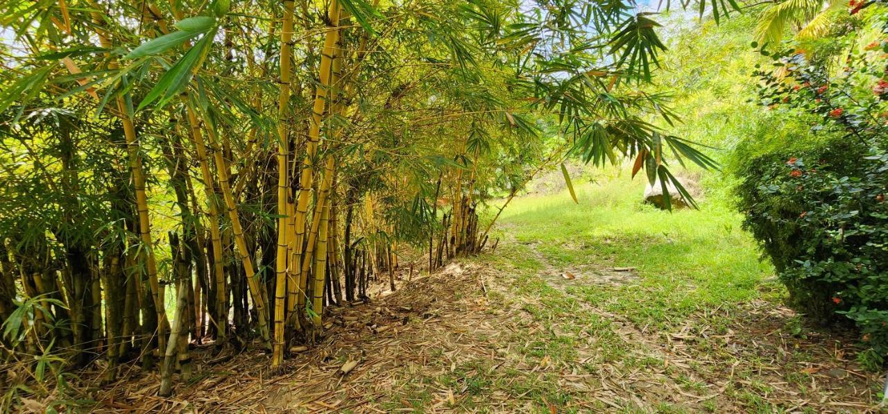 Hostel Finca La Gordita Calabazo エクステリア 写真