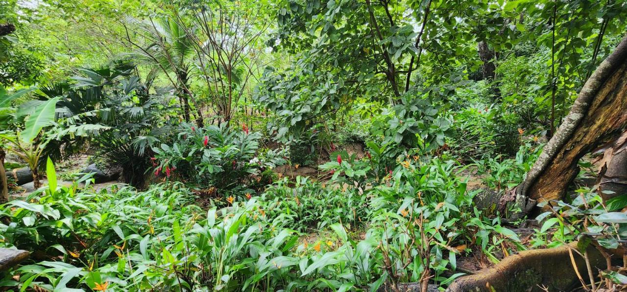 Hostel Finca La Gordita Calabazo エクステリア 写真