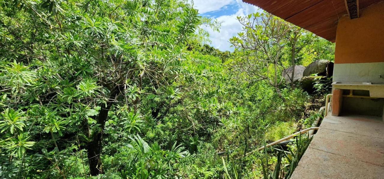 Hostel Finca La Gordita Calabazo エクステリア 写真