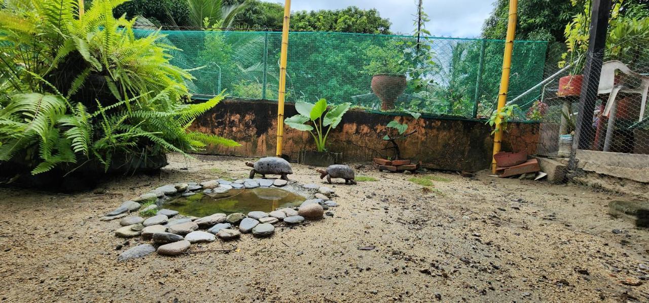Hostel Finca La Gordita Calabazo エクステリア 写真