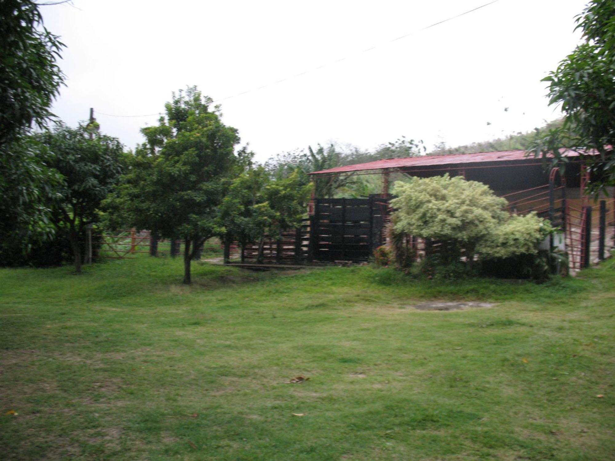 Hostel Finca La Gordita Calabazo エクステリア 写真