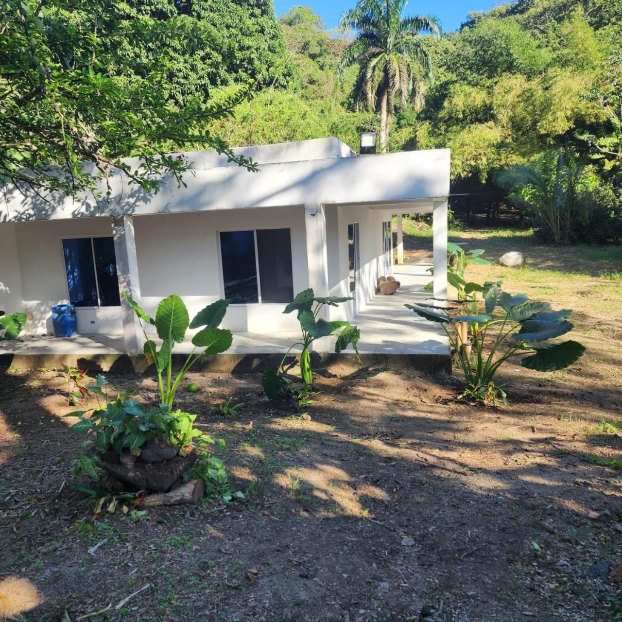 Hostel Finca La Gordita Calabazo エクステリア 写真