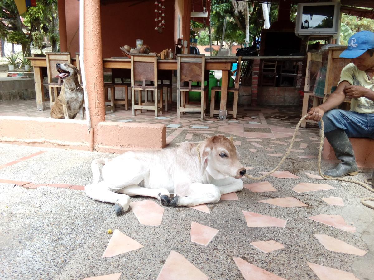 Hostel Finca La Gordita Calabazo エクステリア 写真