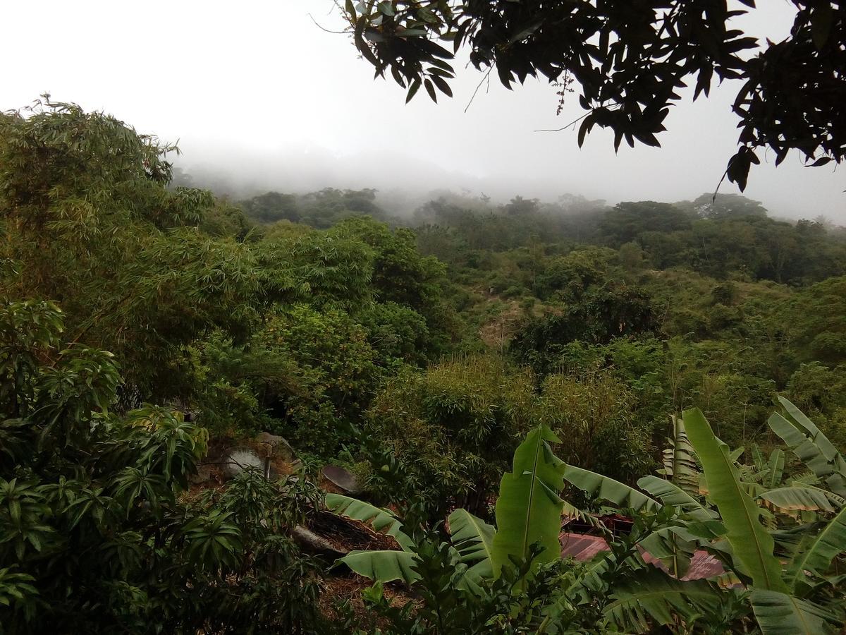 Hostel Finca La Gordita Calabazo エクステリア 写真